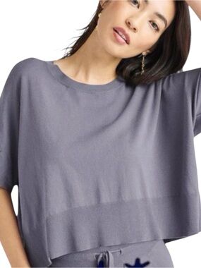 Splendid Grey/Blue Veronica Short Sleeve Oversize Crop Sweater (L)